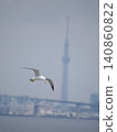 Seagulls and sky trees 140860822