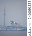 Seagulls and sky trees 140860823