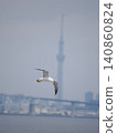 Tourist flight 140860824
