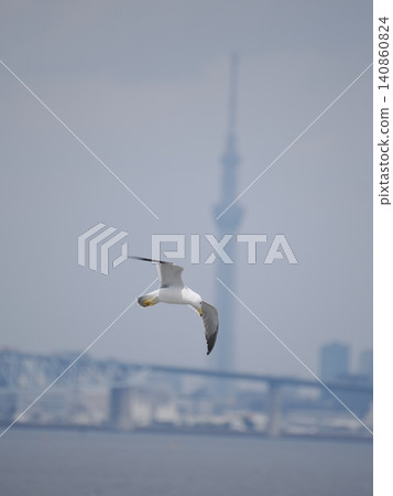 Tourist flight Tourist flight 140860824