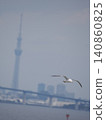 Seagulls and sky trees 140860825
