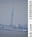 Seagulls and sky trees 140860826
