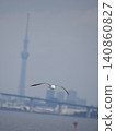 Sky Tree and Seagull 140860827