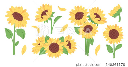 Cartoon sunflowers. Summer sunflower with yellow petals and oilseeds. Blooming farming plants, nature elements, botanical floral racy vector set Cartoon sunflowers. Summer sunflower with yellow petals and oilseeds. Blooming farming plants, nature elements, botanical floral racy vector set 140861178