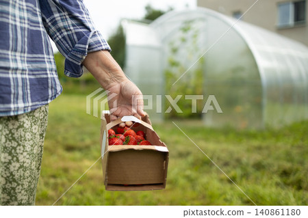 Senior woman gardener carrying small wooden box with harvest near greenhouse in village Senior woman gardener carrying small wooden box with harvest near greenhouse in village 140861180