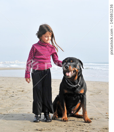 rottweiler and little girl rottweiler and little girl 140861236