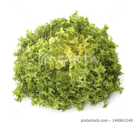 curly endive in studio 140861248