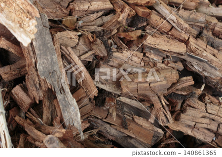 Close-up of rotten decaying wood texture 140861365