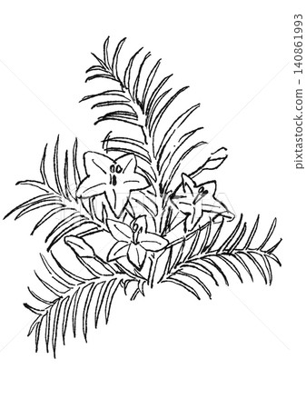 A hand-drawn line art illustration of blooming morning glory flowers. A hand-drawn line art illustration of blooming morning glory flowers. 140861993