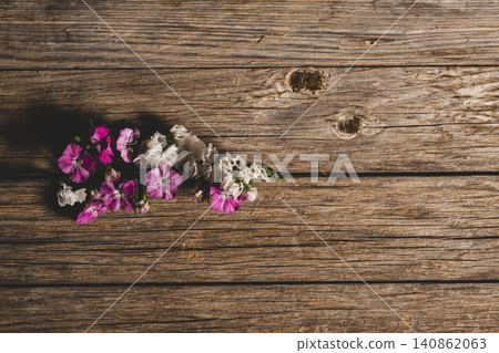 Blooming Flowers Emerging Between Wooden Planks. Blooming Flowers Emerging Between Wooden Planks. 140862063