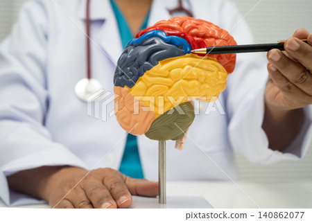 Alzheimer disease, Asian doctor holding brain anatomy model for study diagnosis and treatment in hospital. Alzheimer disease, Asian doctor holding brain anatomy model for study diagnosis and treatment in hospital. 140862077