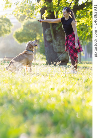 Woman trains a dog in a sunny park by a tree during the afternoon Woman trains a dog in a sunny park by a tree during the afternoon 140862931