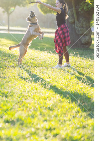 Young girl plays with dog in park during sunny afternoon in the grass while they enjoy their time together 140862934