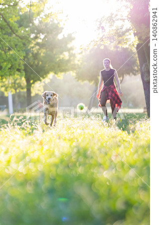 Dog runs in green field while person walks in sunny park during evening hours Dog runs in green field while person walks in sunny park during evening hours 140862941