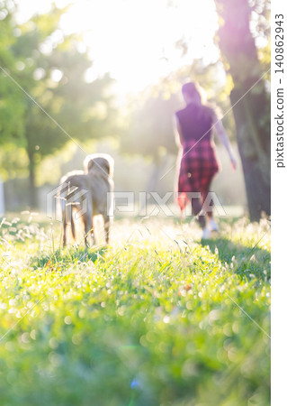 Dog and child walk together in sunny park during afternoon Dog and child walk together in sunny park during afternoon 140862943