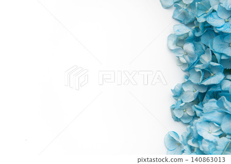 Blue hydrangea flowers creating a white border background Blue hydrangea flowers creating a white border background 140863013
