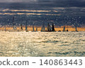 A lot of sailing boats through splashing water at sunset, Sailing regatta in the Gulf of Finland at sunset, hot race of several yachts, teamwork 140863443