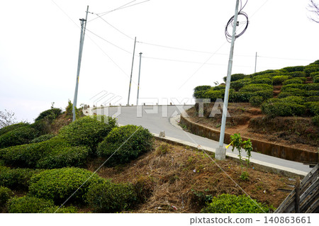 Scenic winding road passing through lush green tea gardens in the mountains at Darjeeling 140863661