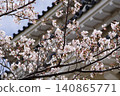 Castle tower surrounded by cherry blossoms 140865771