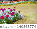 Red tulip 140865774