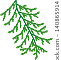 Cypress leaf illustration 140865914