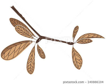 A stylized illustration of the branch tip of a Permian Glossopteris. A stylized illustration of the branch tip of a Permian Glossopteris. 140866104
