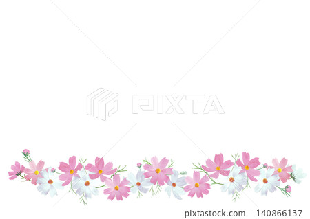 手繪水彩背景圖,描繪了波斯菊。 手繪水彩背景圖,描繪了波斯菊。 140866137