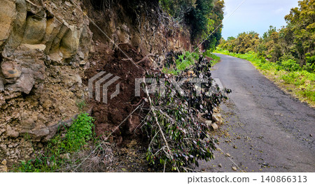 Rock and branch falls onto the roadway in mountainous areas. Danger of landslides on the roads. High quality photo 140866313