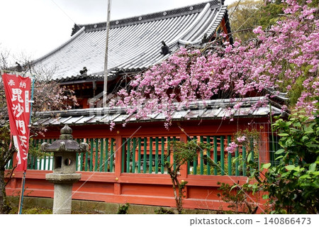 京都市山科區毘沙門堂內的櫻花盛開。 京都市山科區毘沙門堂內的櫻花盛開。 140866473