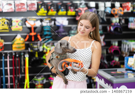Young woman chooses dog harness for dachshund in pet store. Young woman chooses dog harness for dachshund in pet store. 140867159