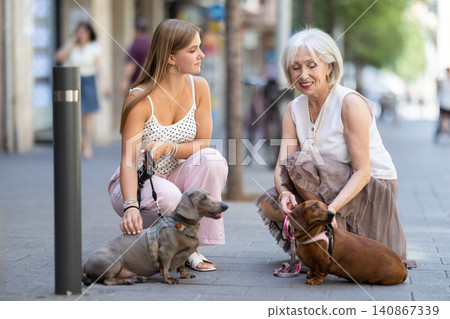 Elderly woman introduces her dog to the dog of a teenage girl on the street Elderly woman introduces her dog to the dog of a teenage girl on the street 140867339
