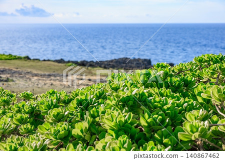 宮古島海岸線綠樹成蔭,碧海藍天。 宮古島海岸線綠樹成蔭,碧海藍天。 140867462