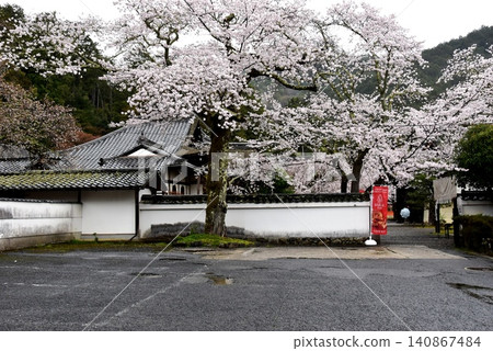 京都市山科區毘沙門堂內的櫻花盛開。 京都市山科區毘沙門堂內的櫻花盛開。 140867484
