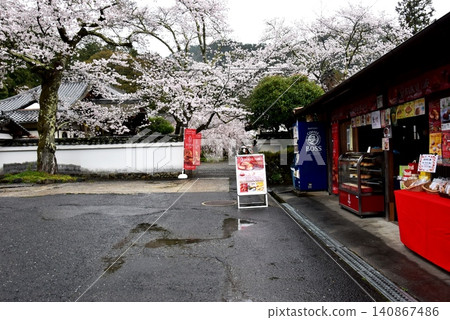 Cherry blossoms in full bloom and a rest area in the grounds of Bishamondo Temple, Yamashina Ward, Kyoto City. 140867486