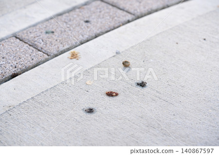 Image of bird (starling) droppings damage Image of bird (starling) droppings damage 140867597