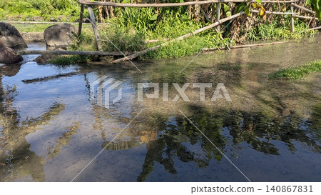A horizontal high angle perspective captures clear freshwater flowing gently over a shallow sandy bed bordered by a rustic bamboo fence. Vibrant green vegetation reflects beautifully on the rippling 140867831