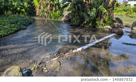 A wide horizontal eye level perspective captures a clear shallow stream flowing past lush tropical banana trees, dark river rocks. Bright morning sunlight highlights the rippling water surface, A wide horizontal eye level perspective captures a clear shallow stream flowing past lush tropical banana trees, dark river rocks. Bright morning sunlight highlights the rippling water surface, 140867832