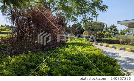 Beautiful daytime landscape captures a neatly manicured tropical garden path blooming with green shrubs, dark red ornamental cordyline plants. A curved asphalt road bordered by yellow black concrete Beautiful daytime landscape captures a neatly manicured tropical garden path blooming with green shrubs, dark red ornamental cordyline plants. A curved asphalt road bordered by yellow black concrete 140867856