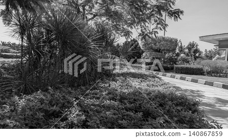 Beautiful daytime landscape captures a neatly manicured tropical garden path blooming with green shrubs, dark red ornamental cordyline plants. A curved asphalt road bordered by yellow black concrete Beautiful daytime landscape captures a neatly manicured tropical garden path blooming with green shrubs, dark red ornamental cordyline plants. A curved asphalt road bordered by yellow black concrete 140867859