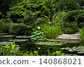 Water lily flower reflected in the pond 140868021