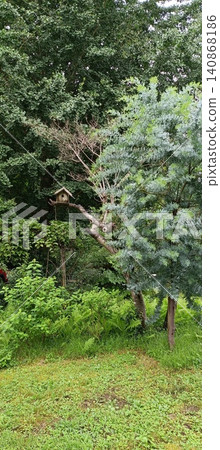 Forest Cafe: A garden with a birdhouse Forest Cafe: A garden with a birdhouse 140868186
