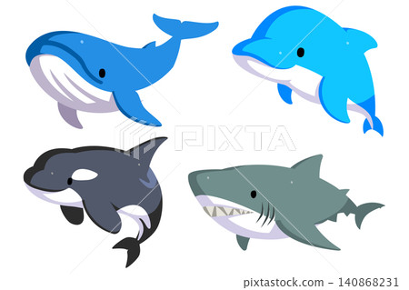 鯨魚、海豚、虎鯨、鯊魚—概要 鯨魚、海豚、虎鯨、鯊魚—概要 140868231
