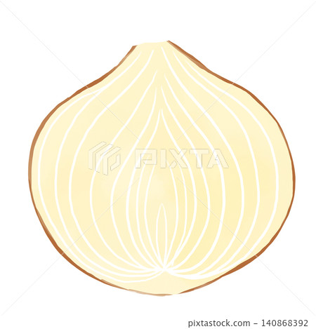 Watercolor-style image of an onion cross-section; a hand-drawn illustration of a vegetable cut in half lengthwise. Watercolor-style image of an onion cross-section; a hand-drawn illustration of a vegetable cut in half lengthwise. 140868392