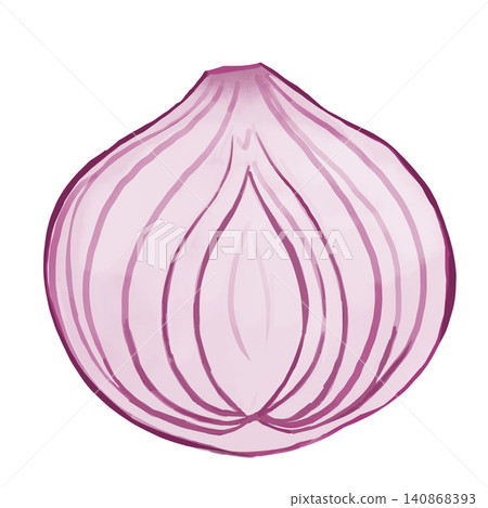Watercolor-style illustration of a cross-section of a purple onion; a hand-drawn vegetable cut in half lengthwise. Watercolor-style illustration of a cross-section of a purple onion; a hand-drawn vegetable cut in half lengthwise. 140868393