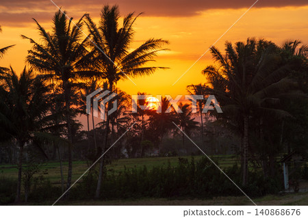 Beautiful tropical sunset landscape with silhouettes of coconut palm trees against golden sky. Beautiful tropical sunset landscape with silhouettes of coconut palm trees against golden sky. 140868676