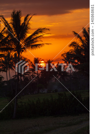 Beautiful tropical sunset landscape with silhouettes of coconut palm trees against golden sky. Beautiful tropical sunset landscape with silhouettes of coconut palm trees against golden sky. 140868681
