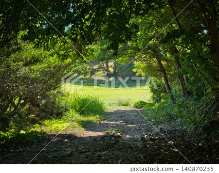 Green Tunnel Green Tunnel 140870235
