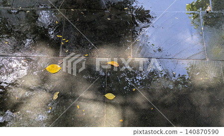 A top down overhead perspective captures fallen yellow autumn leaves scattered across wet dark stone pavement tiles after rain. Mirrored puddles reflect the blue sky, bright sunlight, surrounding A top down overhead perspective captures fallen yellow autumn leaves scattered across wet dark stone pavement tiles after rain. Mirrored puddles reflect the blue sky, bright sunlight, surrounding 140870590