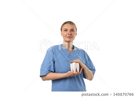 Dental expert shows teeth model for care, isolated on white, PNG Dental expert shows teeth model for care, isolated on white, PNG 140870766