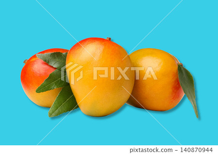 Three juicy mangoes with green leaves arranged attractively 140870944